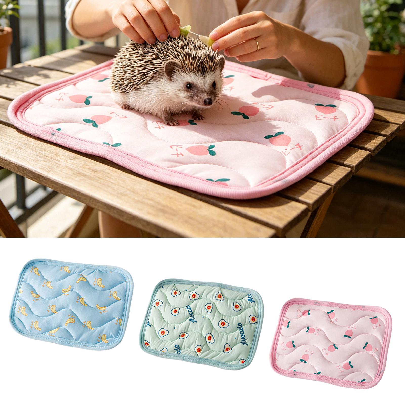 Outdoor Camping Dog Kennel - Yıkanabilir Evcil Hayvan Soğutma Minderi Küçük