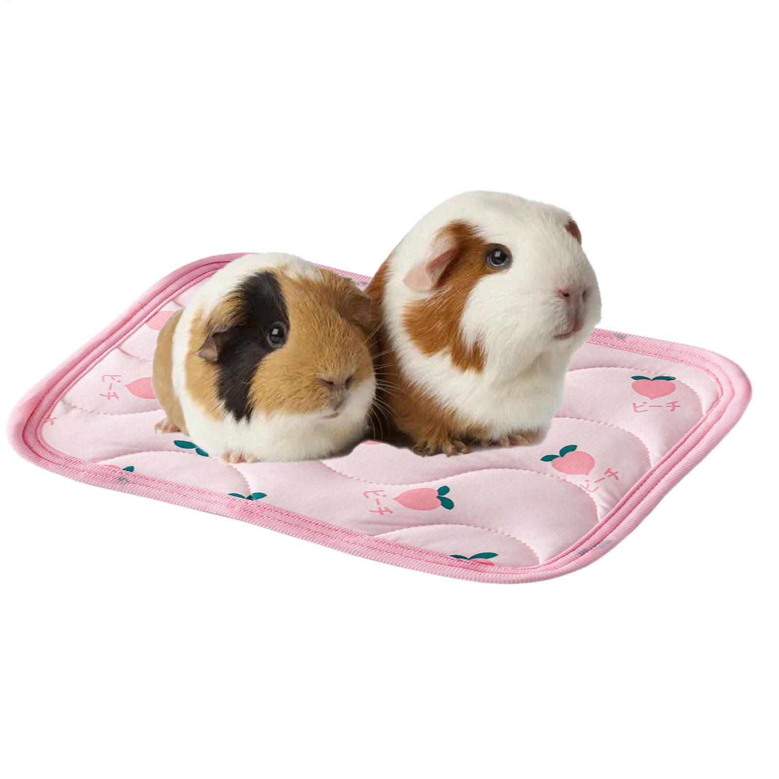 Yıkanabilir Evcil Hayvan Soğut - Outdoor Camping Dog Kennel incelemesi ve fiyatı