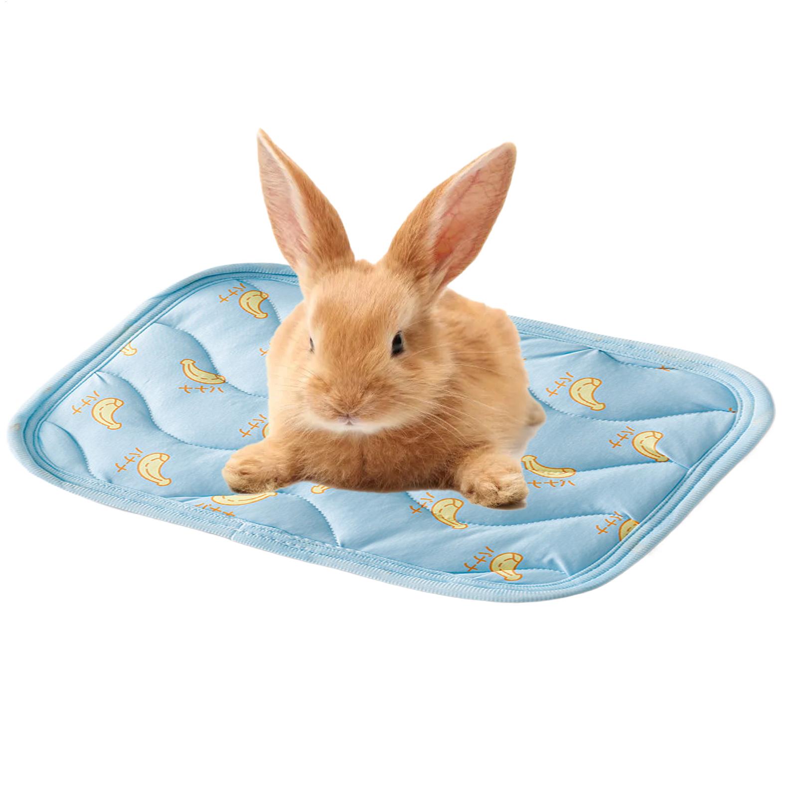 Taşınabilir Dayanıklı Evcil Ha - Outdoor Camping Dog Kennel incelemesi ve fiyatı