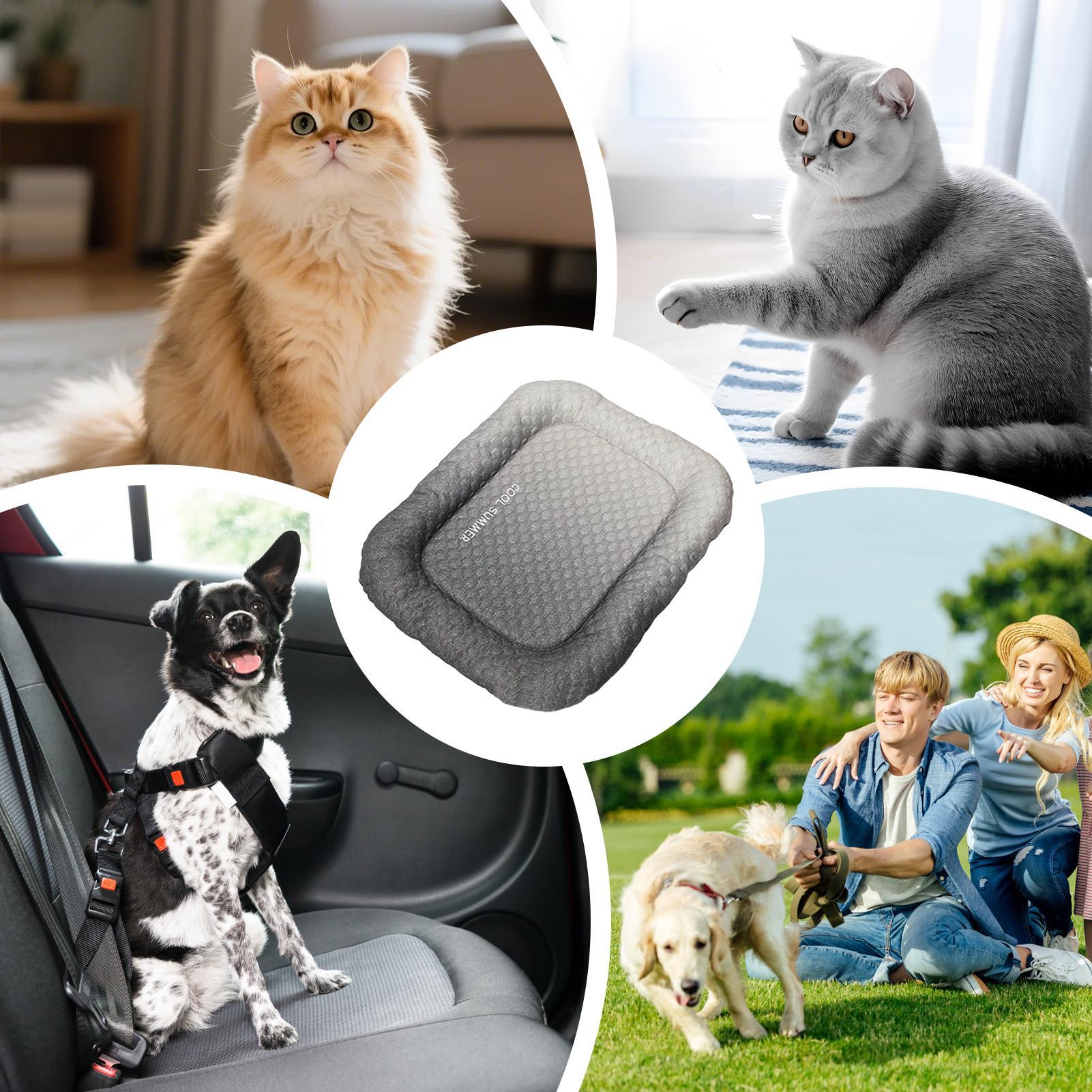 Köpek Soğutma Yatağı Taşınabil - Outdoor Camping Dog Kennel incelemesi ve fiyatı